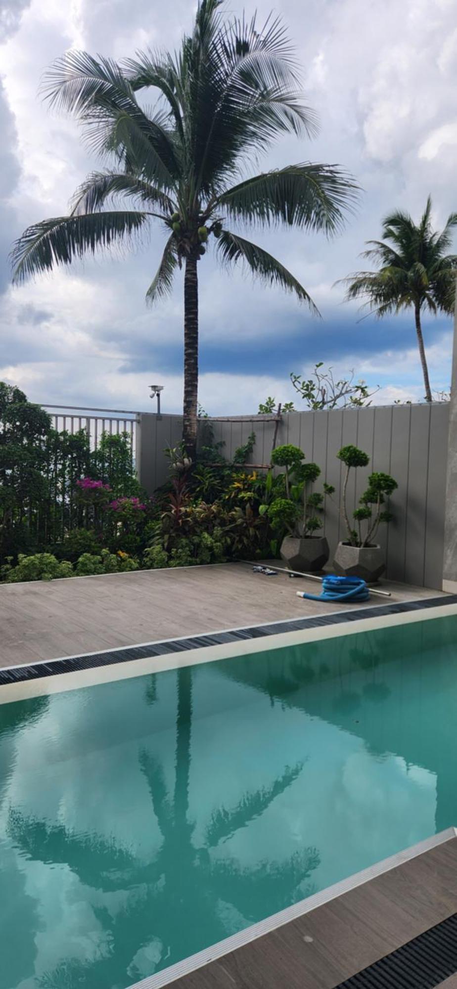 Angsana Beachfront Residences Apartment Phuket